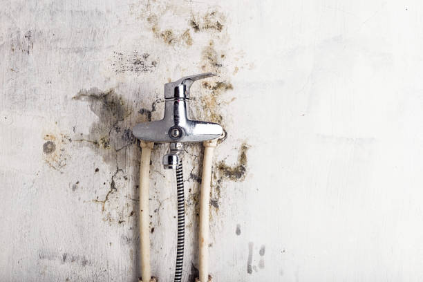 Best HVAC Mold Remediation in Saybrook Manor, CT