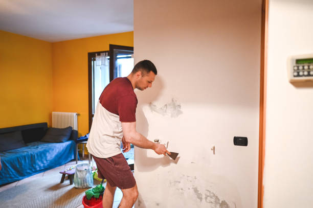 Reliable Saybrook Manor, CT Mold Remediation Solutions